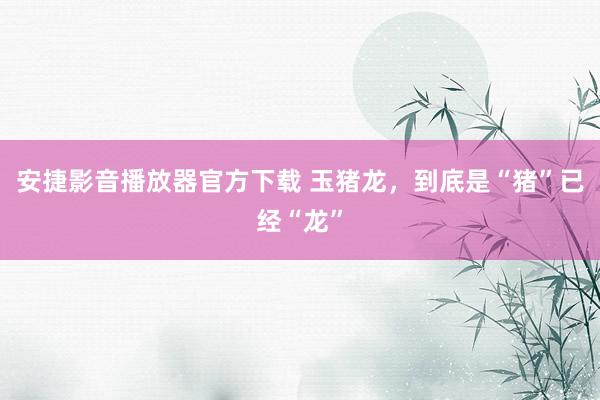 安捷影音播放器官方下载 玉猪龙，到底是“猪”已经“龙”