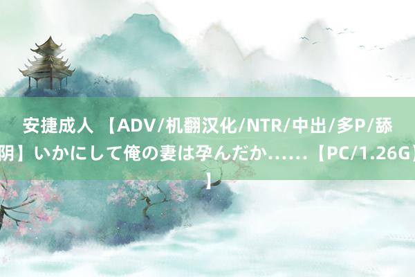 安捷成人 【ADV/机翻汉化/NTR/中出/多P/舔阴】いかにして俺の妻は孕んだか……【PC/1.26G】