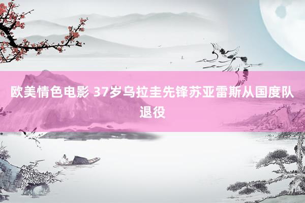 欧美情色电影 37岁乌拉圭先锋苏亚雷斯从国度队退役