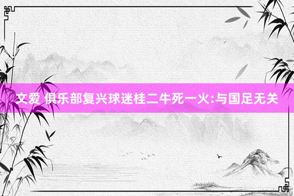 文爱 俱乐部复兴球迷桂二牛死一火:与国足无关