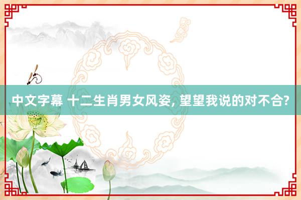 中文字幕 十二生肖男女风姿， 望望我说的对不合?